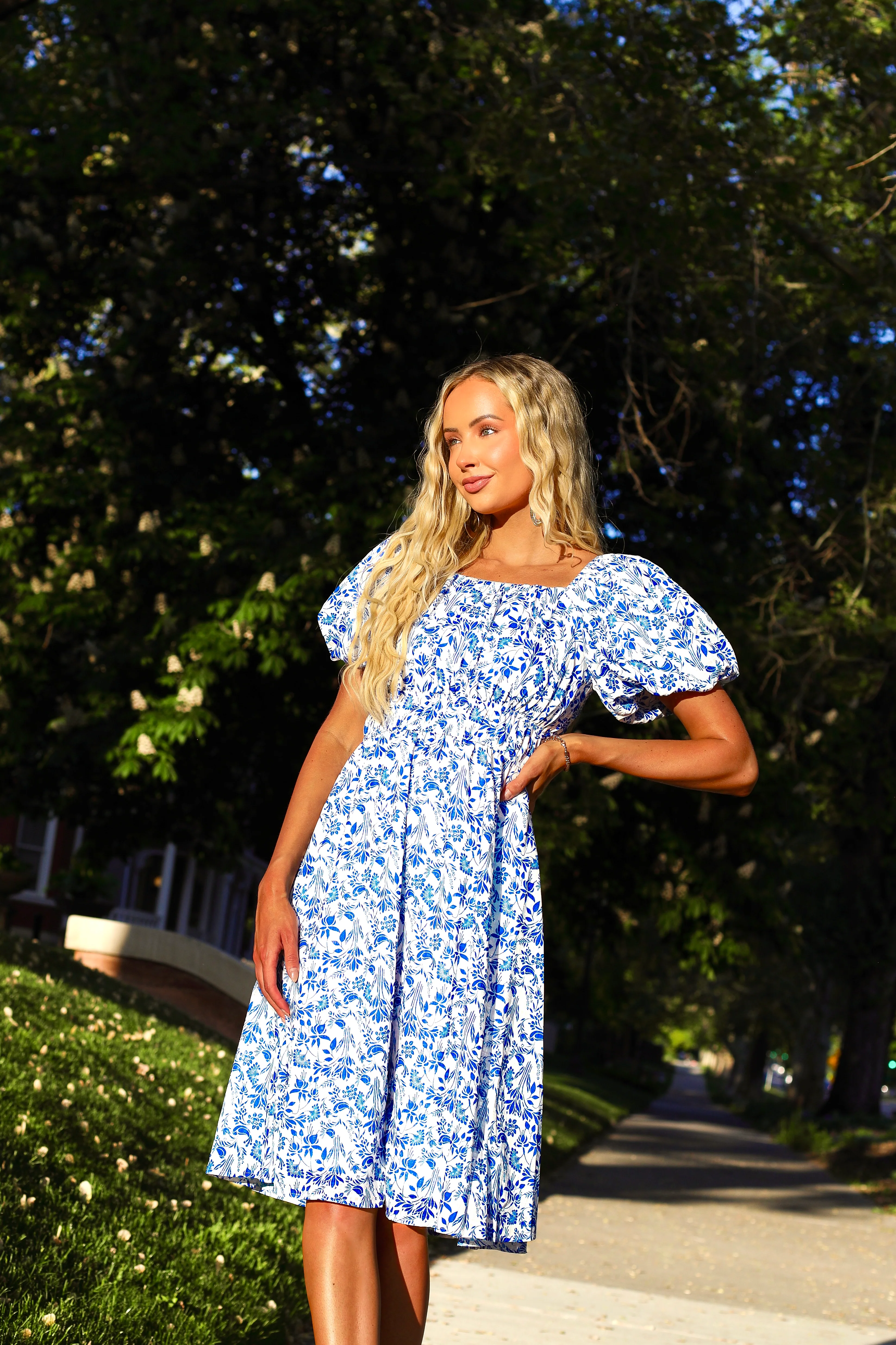 The Arla White/Blue Floral Dresses - XNAUWBI