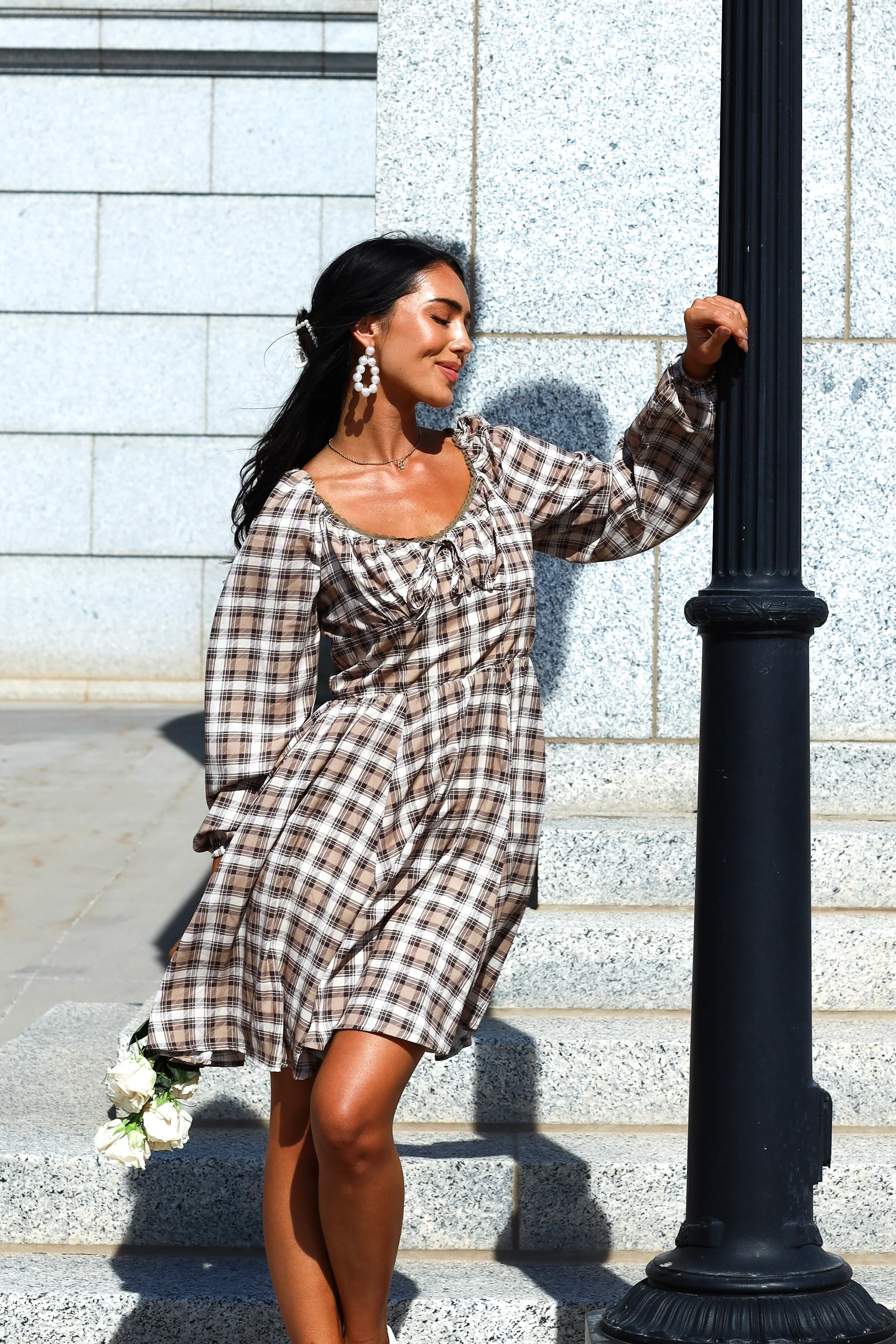 The Lionne Brown/Taupe/Beige Plaid Dresses - XNAUWBI