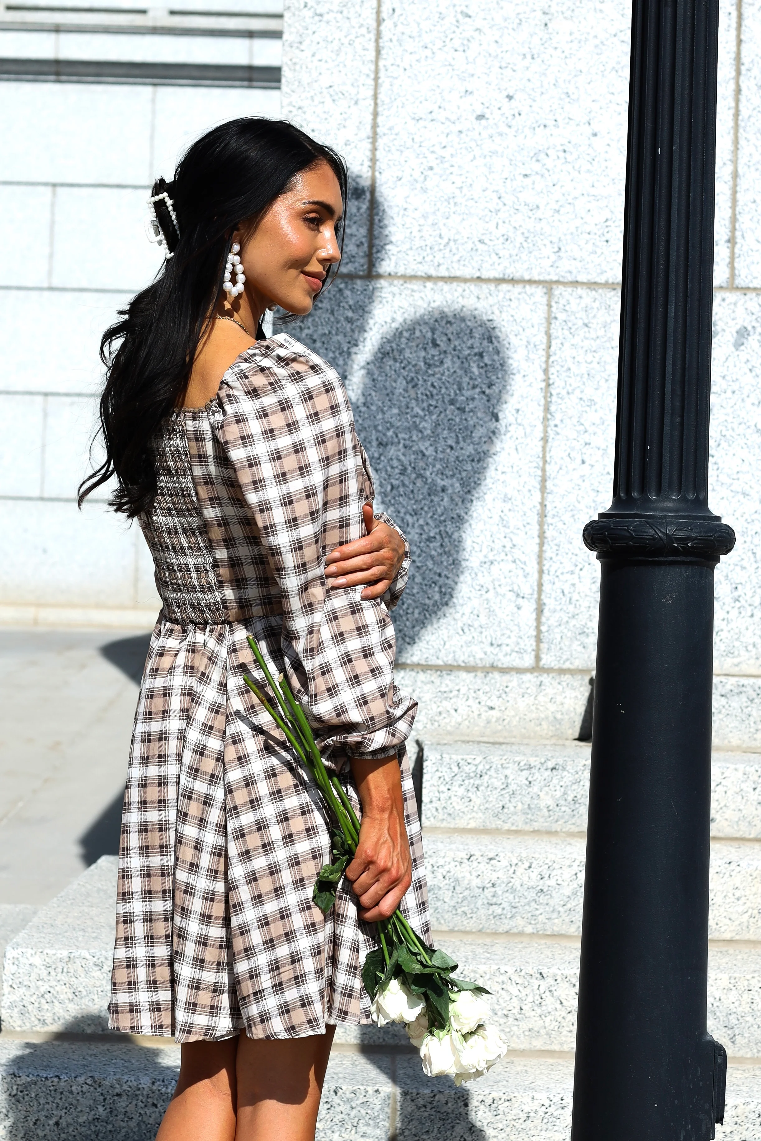 The Lionne Brown/Taupe/Beige Plaid Dresses - XNAUWBI