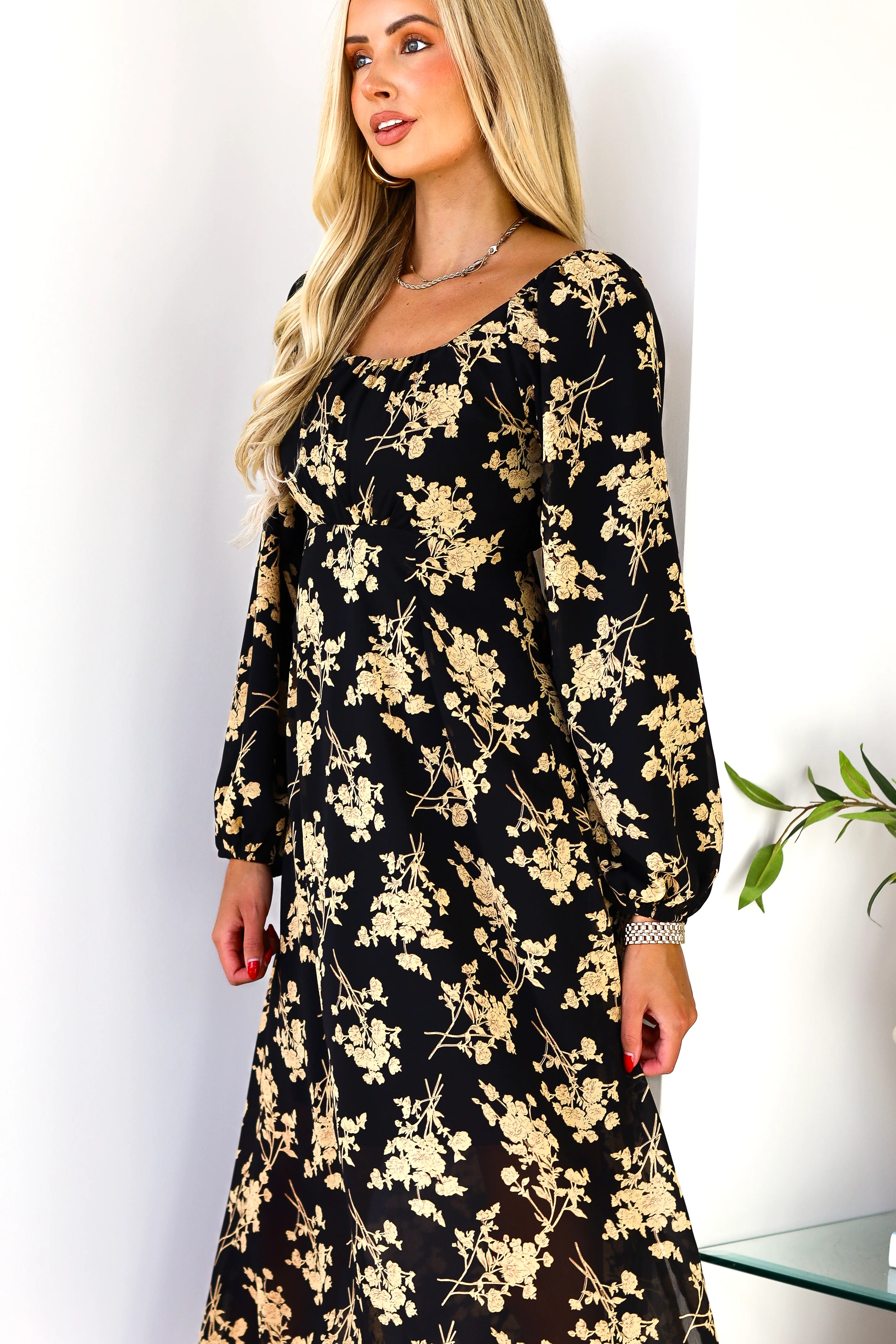 The Zachariah - XNAUWBI