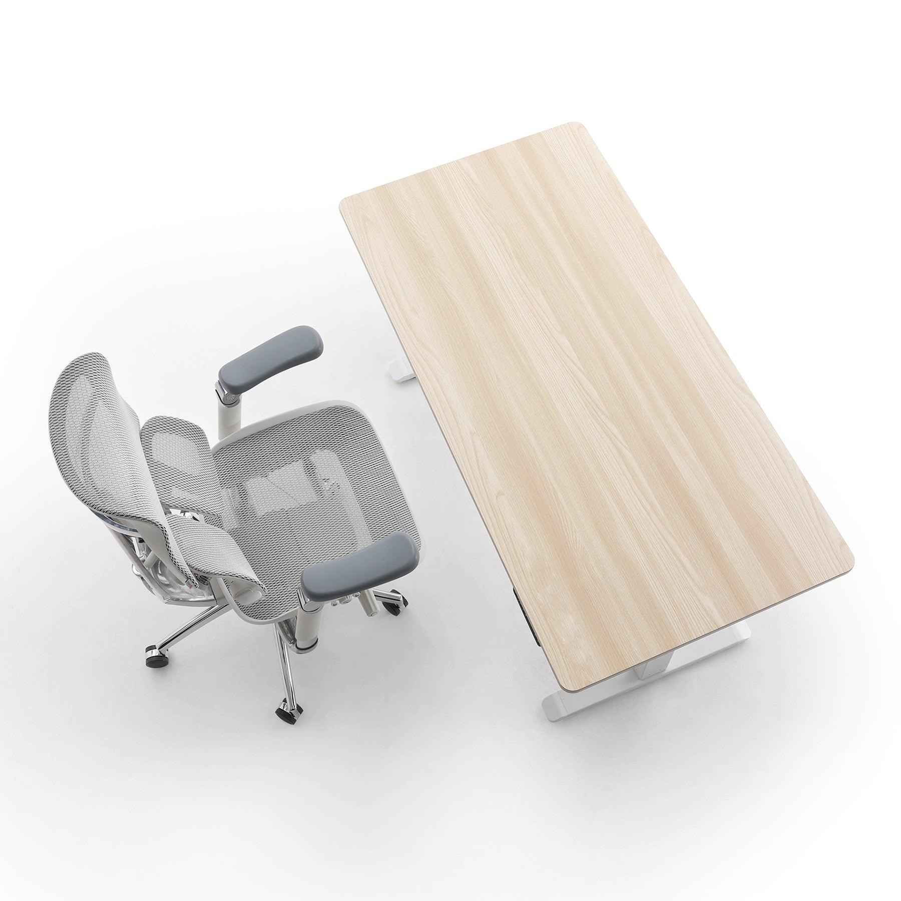 D03 Electric Height Adjustable Standing Desk - XBQDD