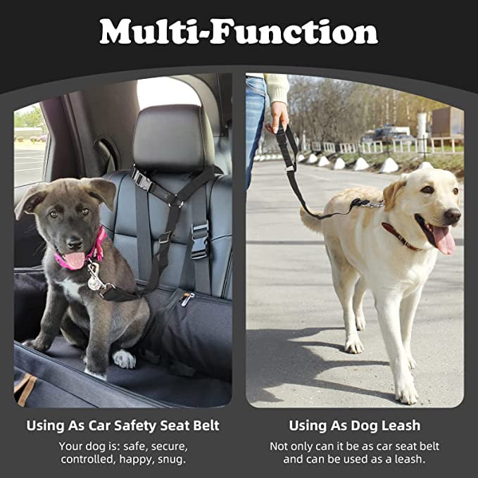 Adjustable Car Dog Leash - XBQDD