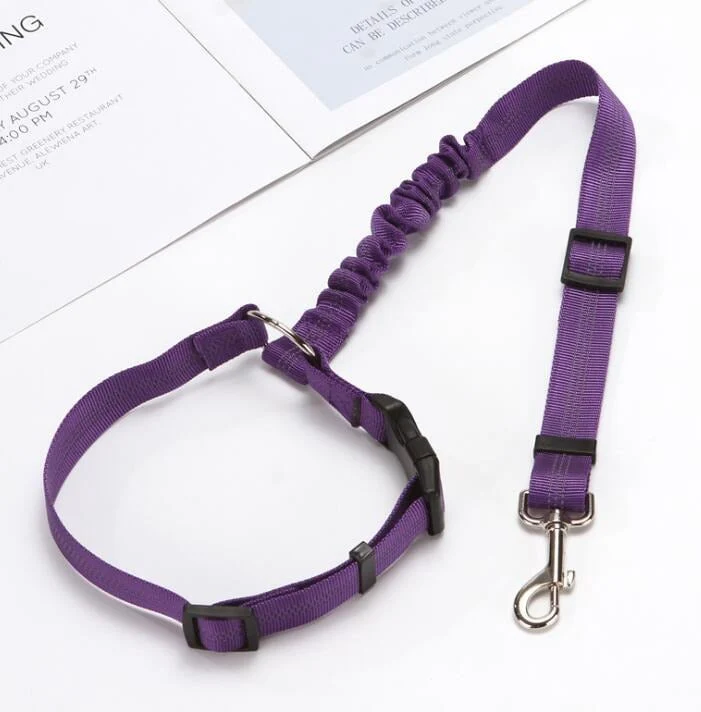 Adjustable Car Dog Leash - XBQDD