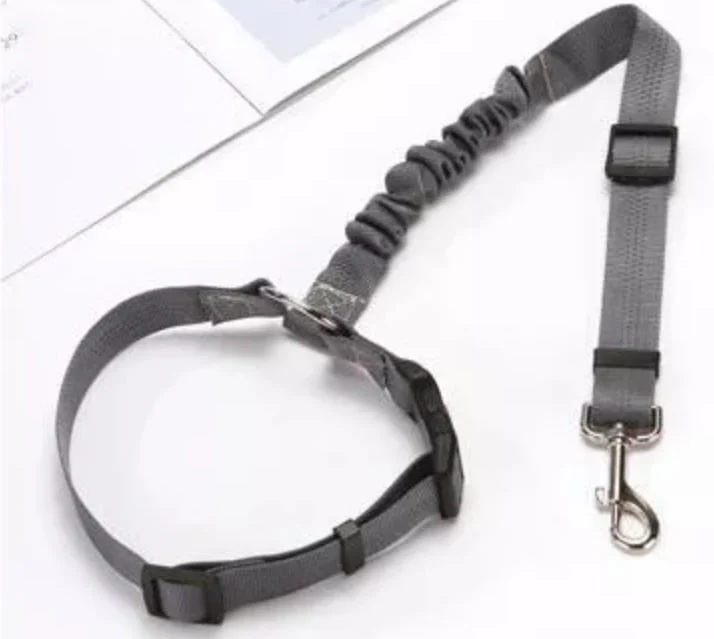 Adjustable Car Dog Leash - XBQDD