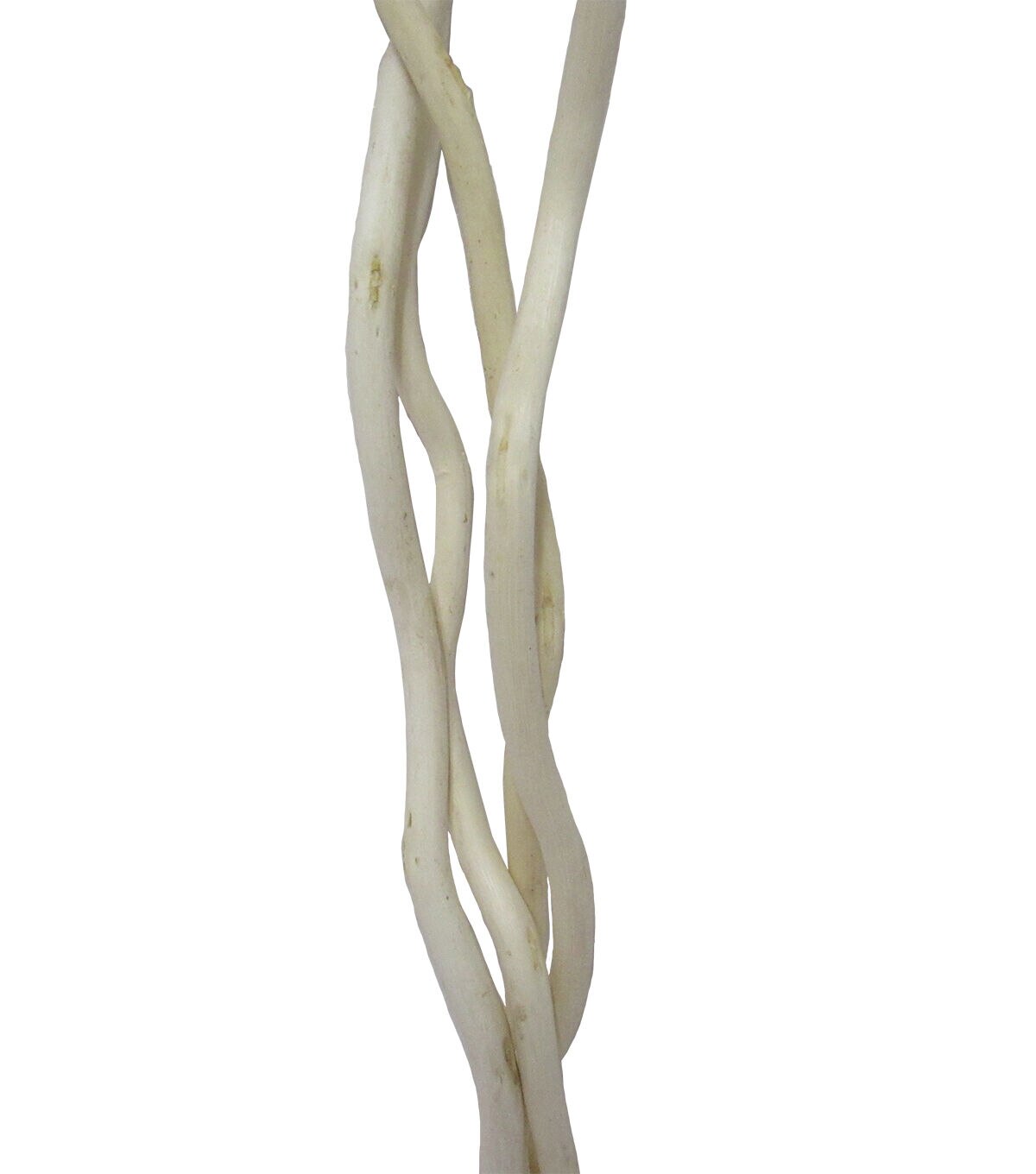 40 Natural Kulu Stick by Bloom Room