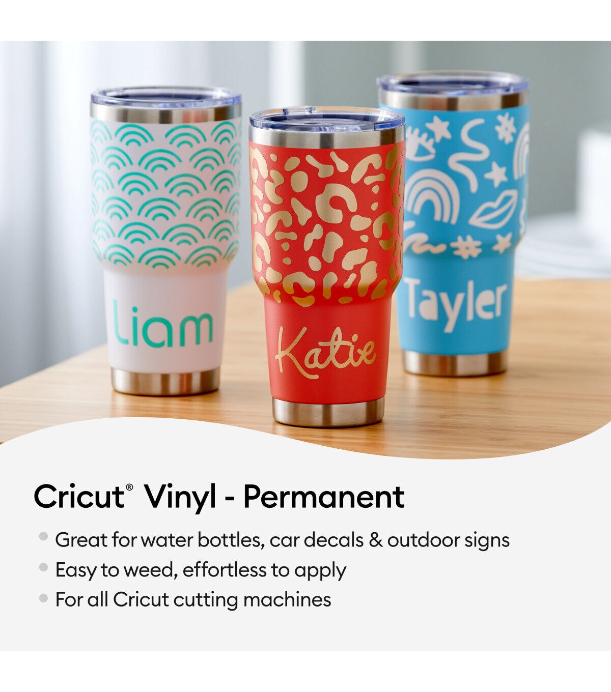 Cricut 12 x 12 Rainbow Permanent Vinyl Samplers 20ct