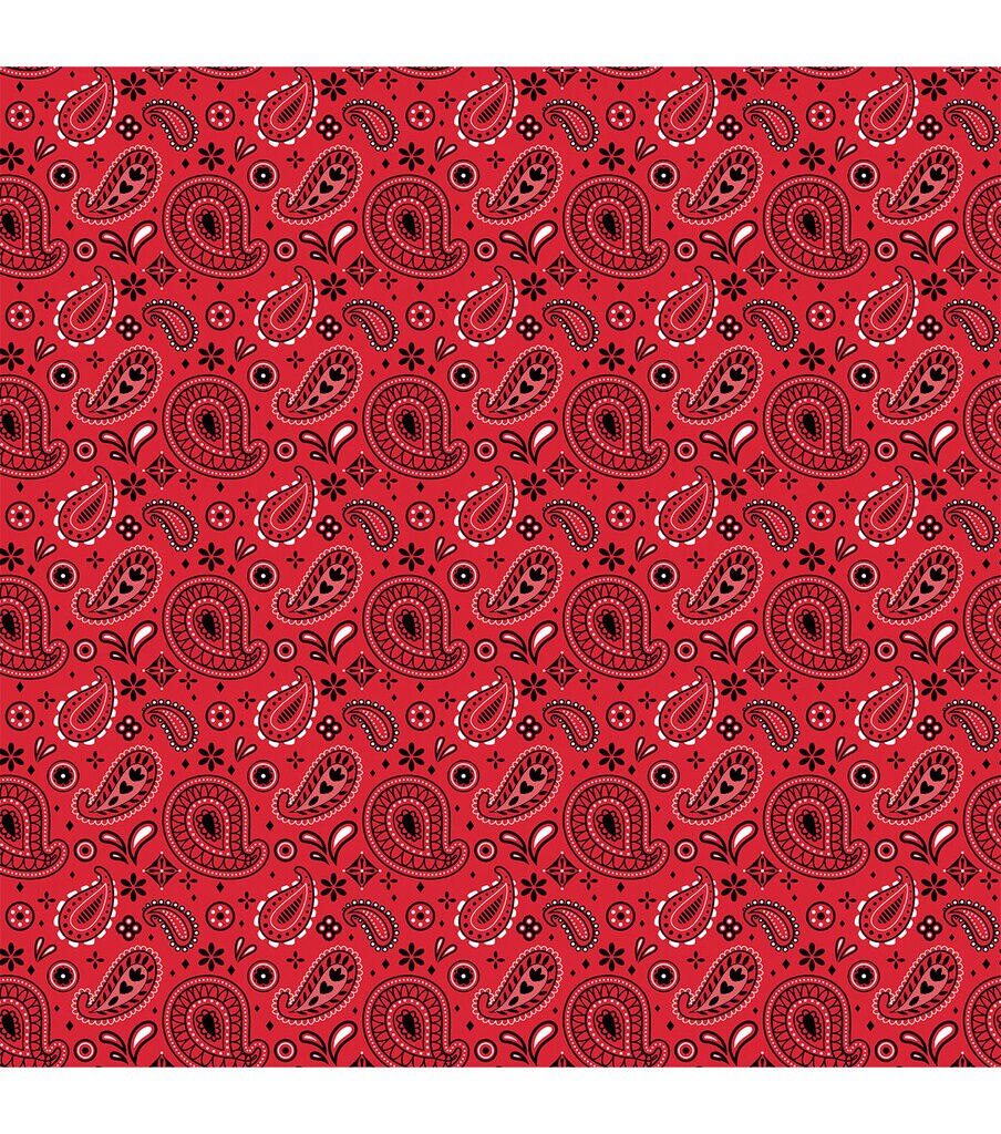 Cricut 12 x 12 Western Sweetheart Infusible Ink Transfer Sheets 4ct