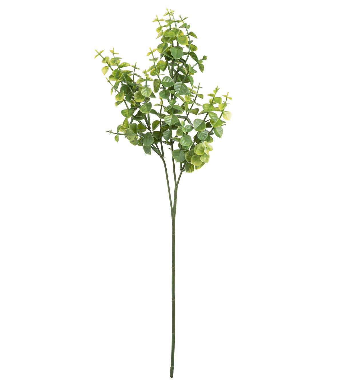 25 Plastic Ficus Stem by Bloom Room