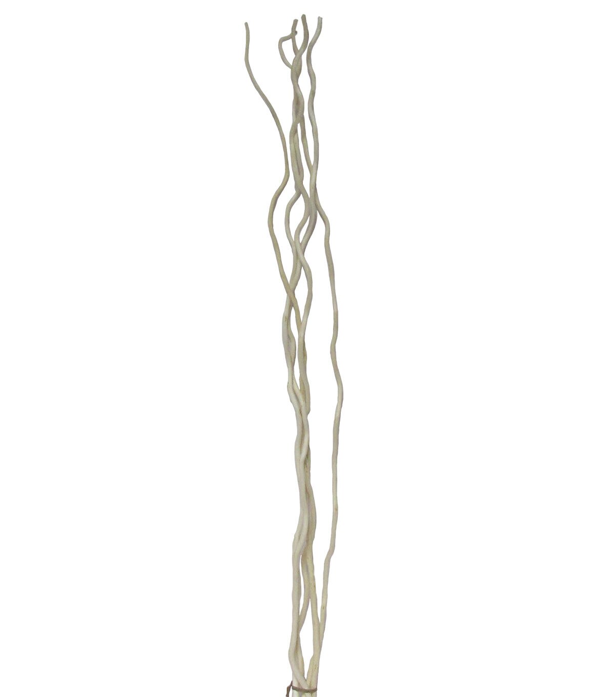 40 Natural Kulu Stick by Bloom Room