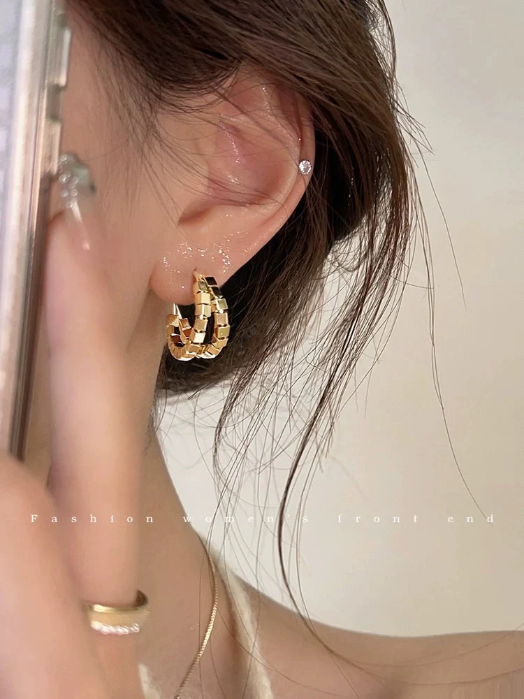 Metal small and exquisite earrings light luxury and elegant earrings 2023 new popular earrings niche design earrings trend - EHAORUI