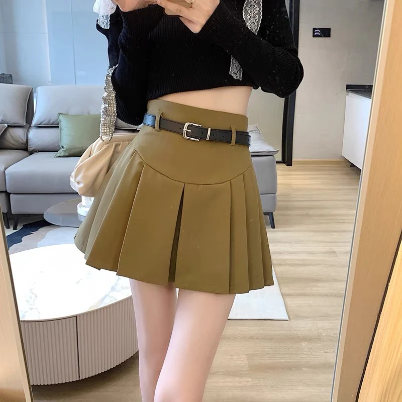 A-line skirt female winter pleated small all-match temperament popular this winter with sweater short skirt tide - EHAORUI