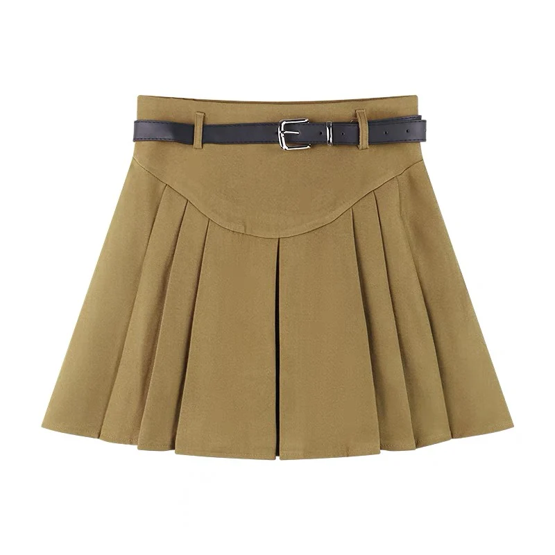 A-line skirt female winter pleated small all-match temperament popular this winter with sweater short skirt tide - EHAORUI