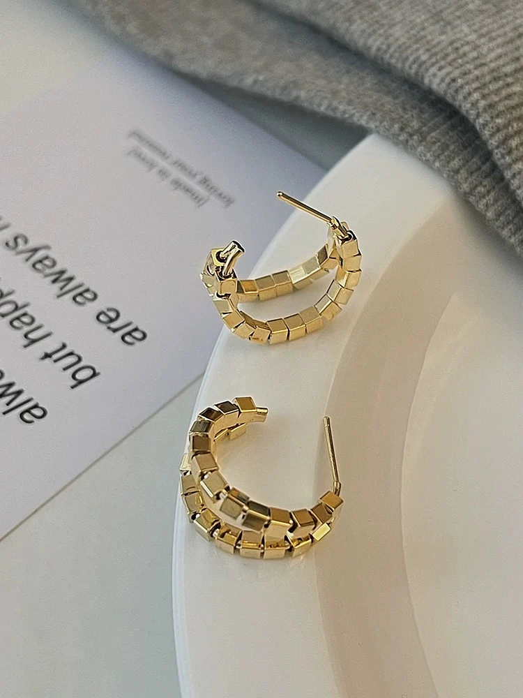 Metal small and exquisite earrings light luxury and elegant earrings 2023 new popular earrings niche design earrings trend - EHAORUI
