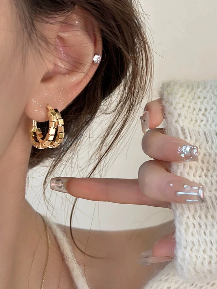 Metal small and exquisite earrings light luxury and elegant earrings 2023 new popular earrings niche design earrings trend - EHAORUI