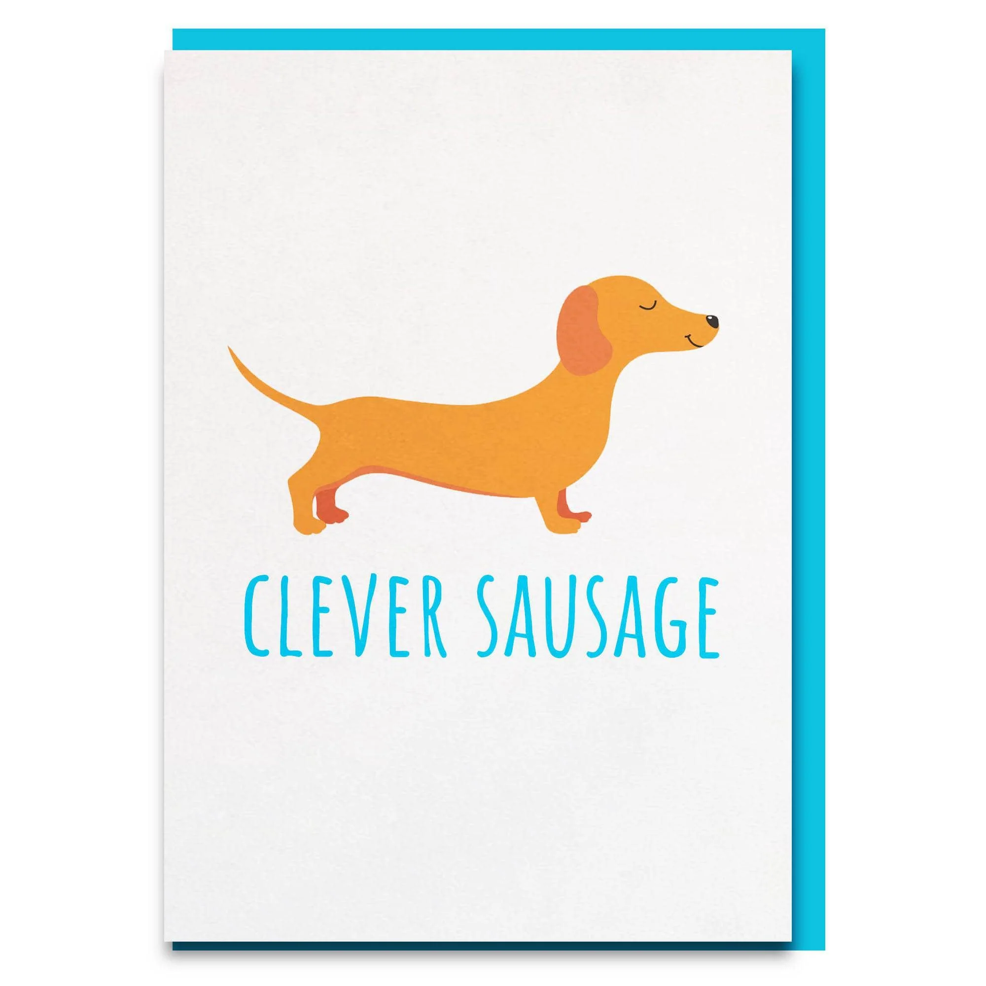 Sausage - republicanstateiSausage - republicanstatei