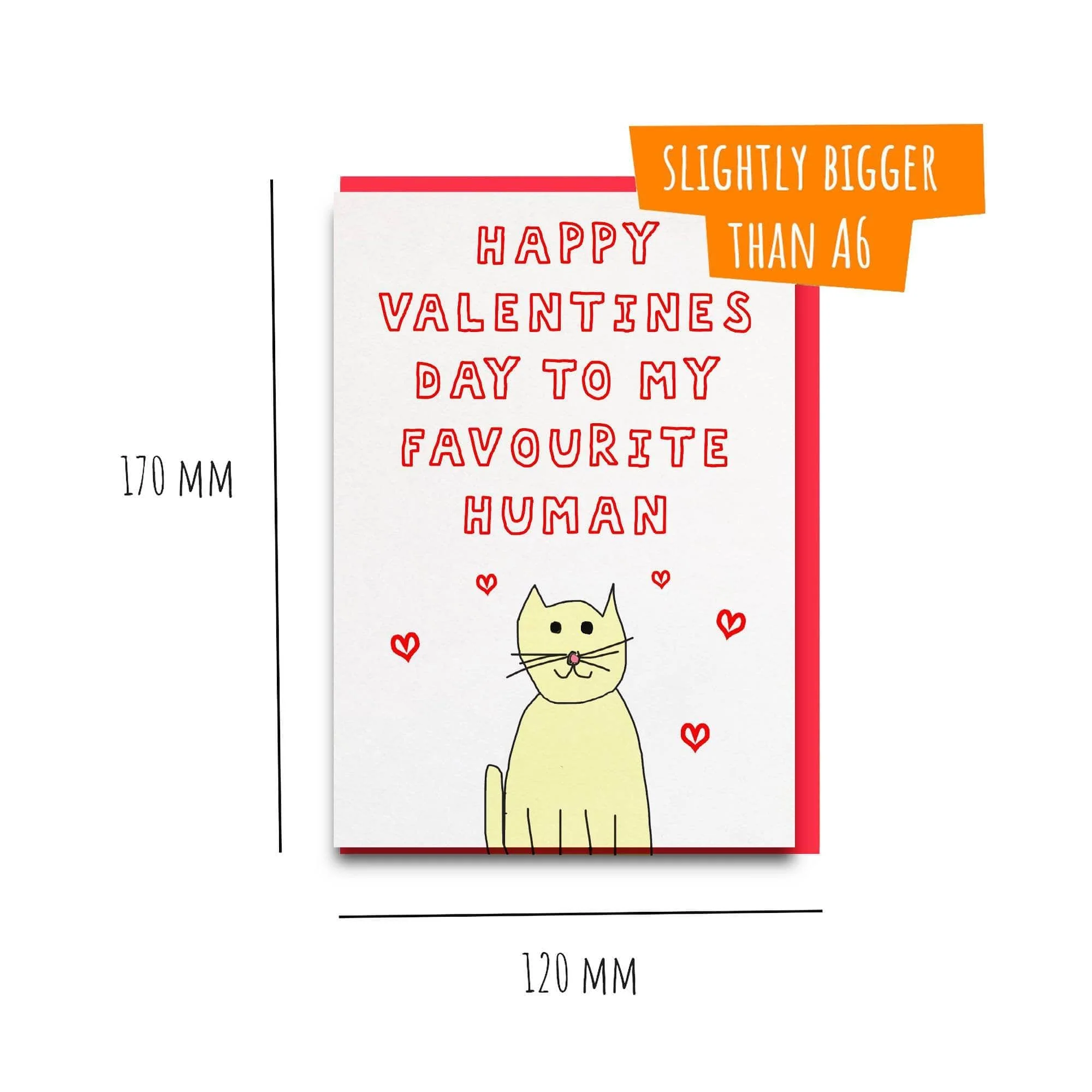 Cat Love - republicanstateiCat Love - republicanstatei