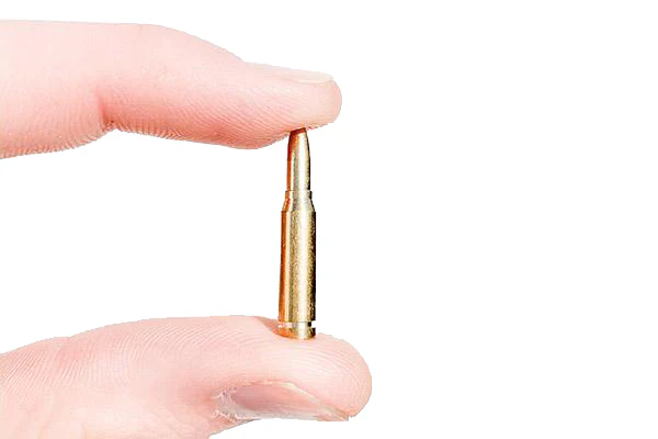 .50 cal Dummy Rounds - tumbierware