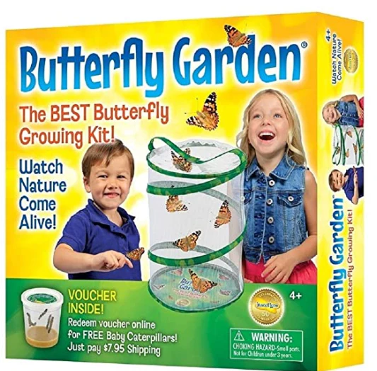 Insect Lore Butterfly Garden - tumbierware