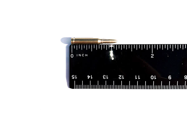 .50 cal Dummy Rounds - tumbierware