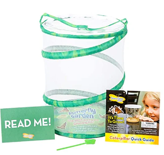 Insect Lore Butterfly Garden - tumbierware