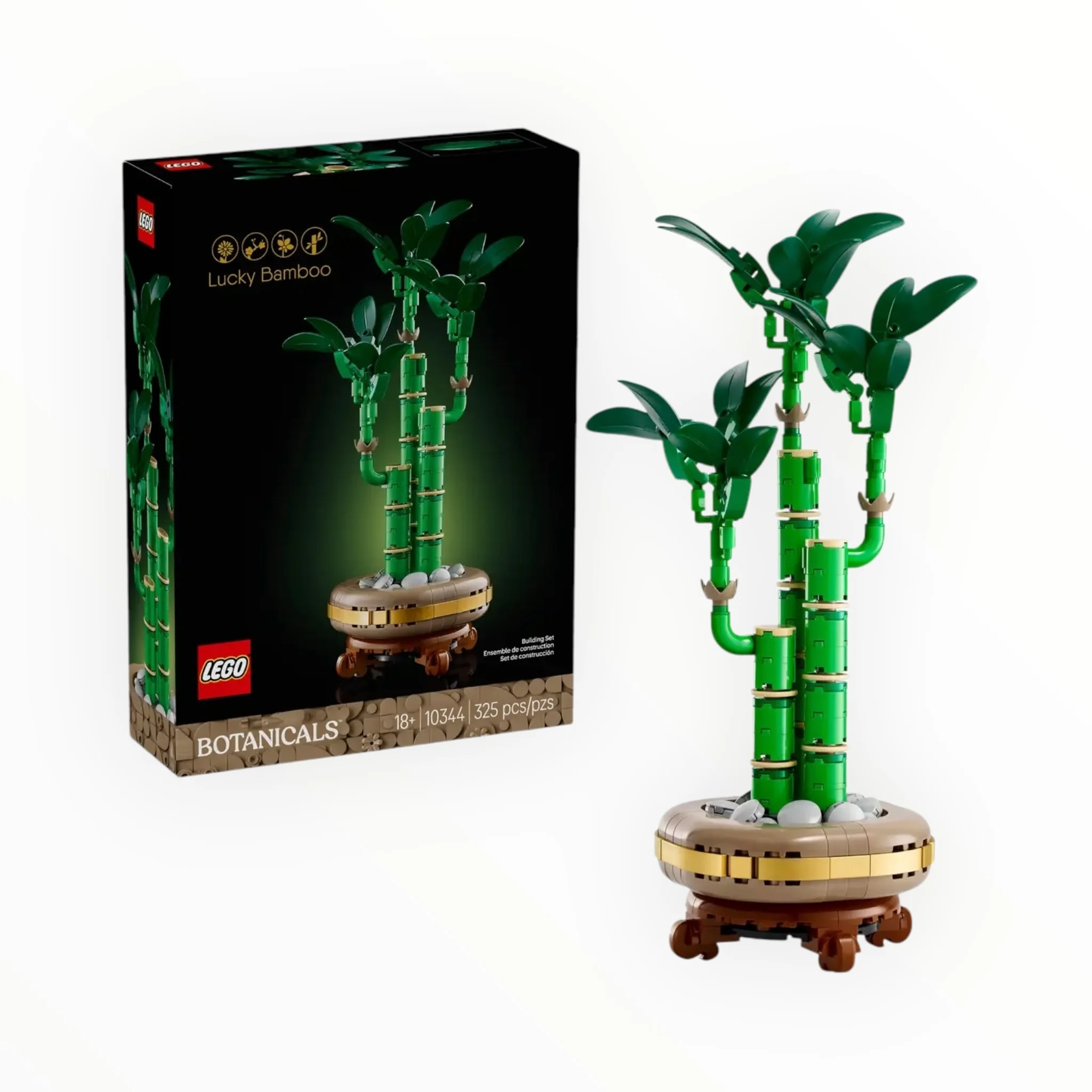 10344 Botanicals Lucky Bamboo - tumbierware
