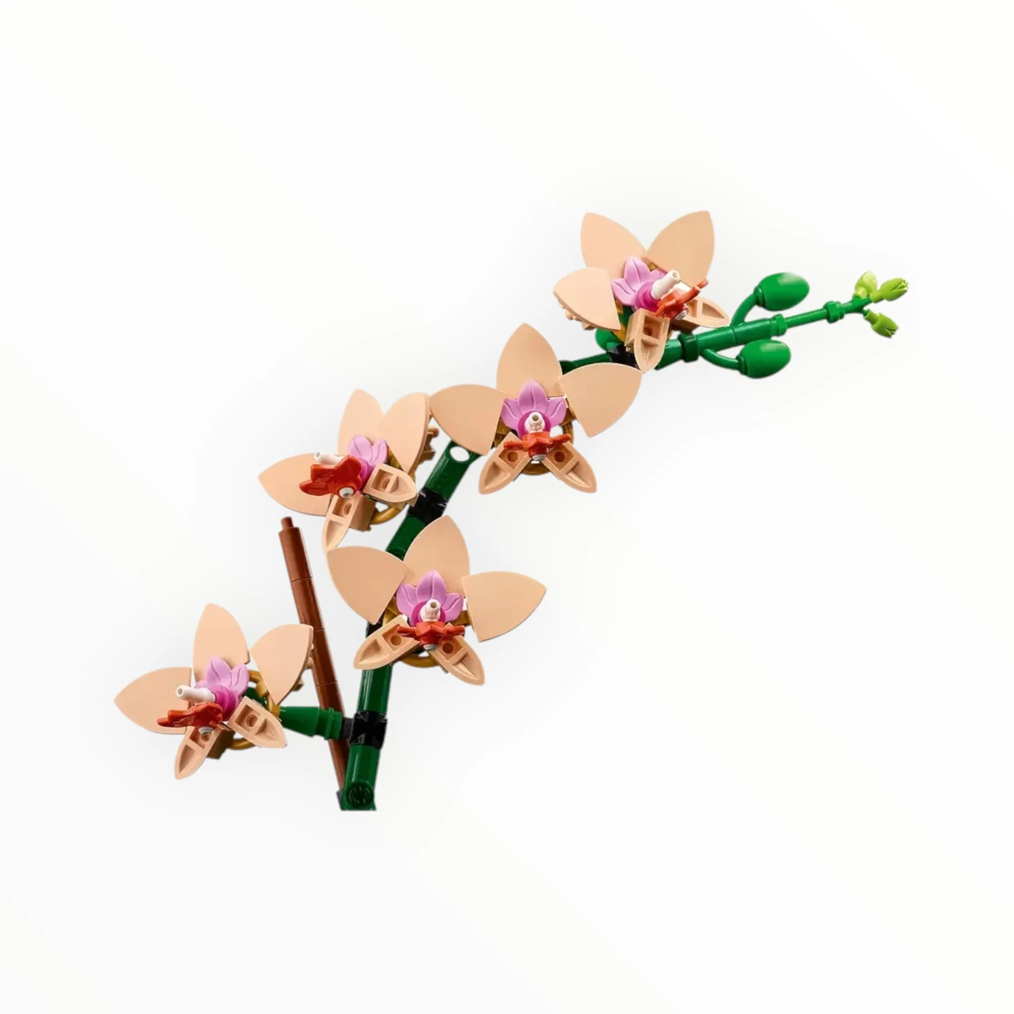 10343 Botanicals Mini Orchid - tumbierware