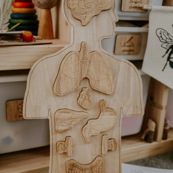 Human Anatomy Puzzle - tumbierware