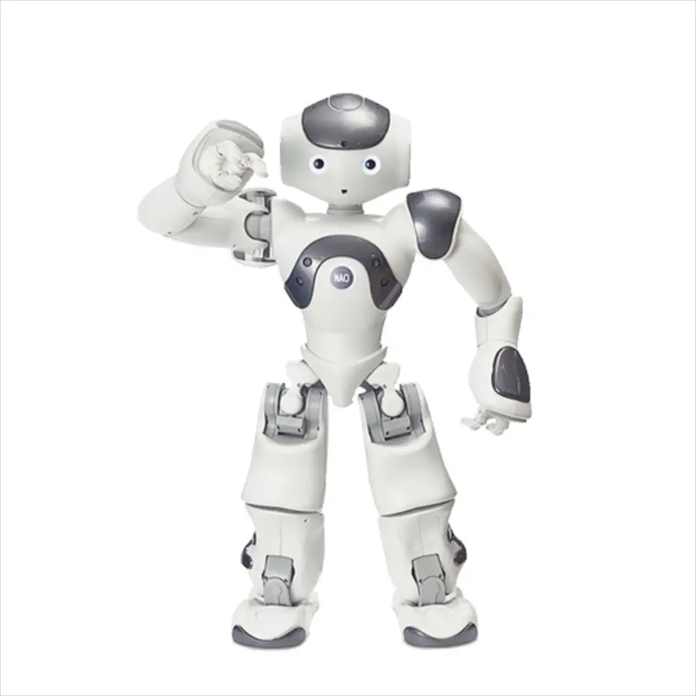 ZoraBots Nao V6 w/ Zora Solution - tumbierware