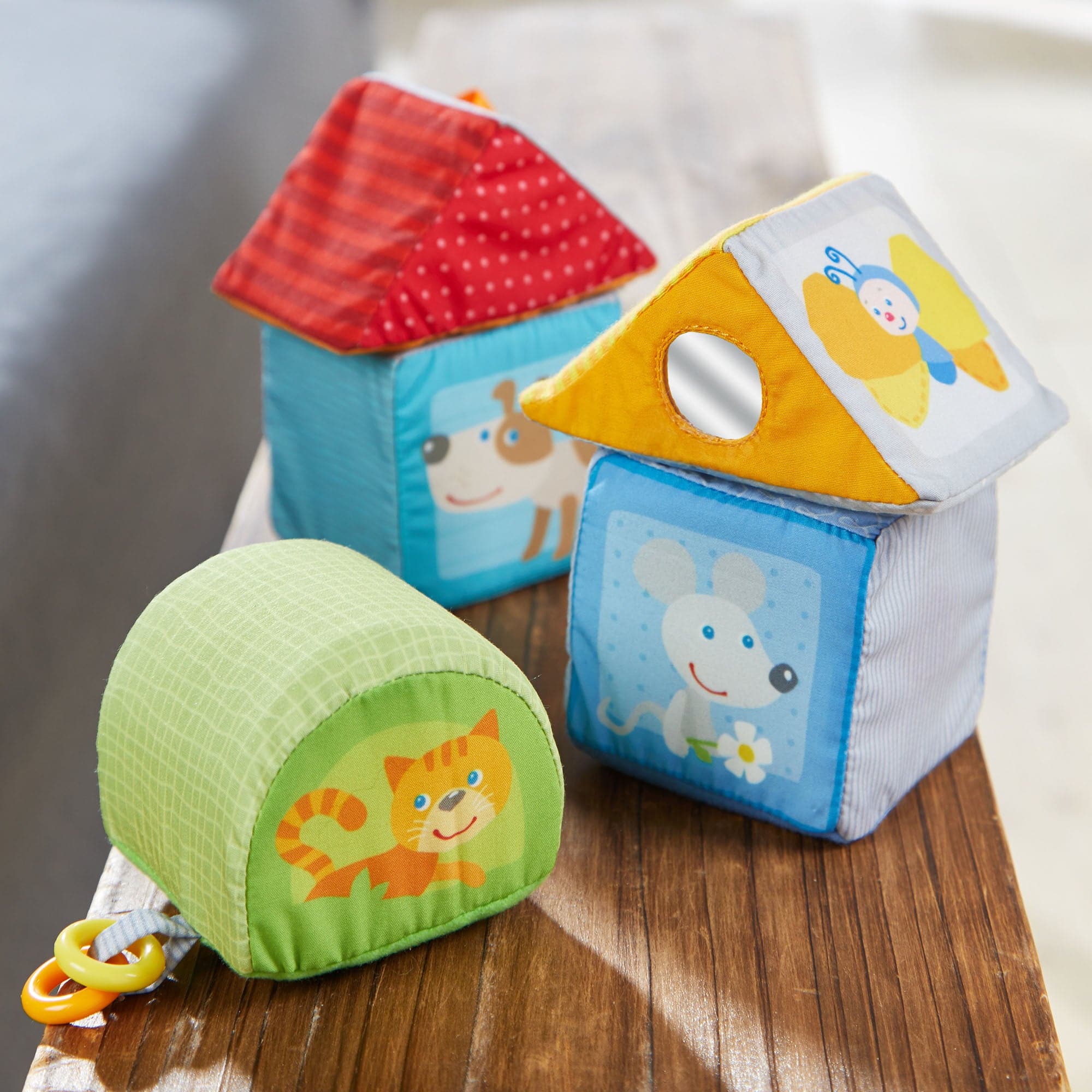 Animal Discovery Cubes - tumbierware