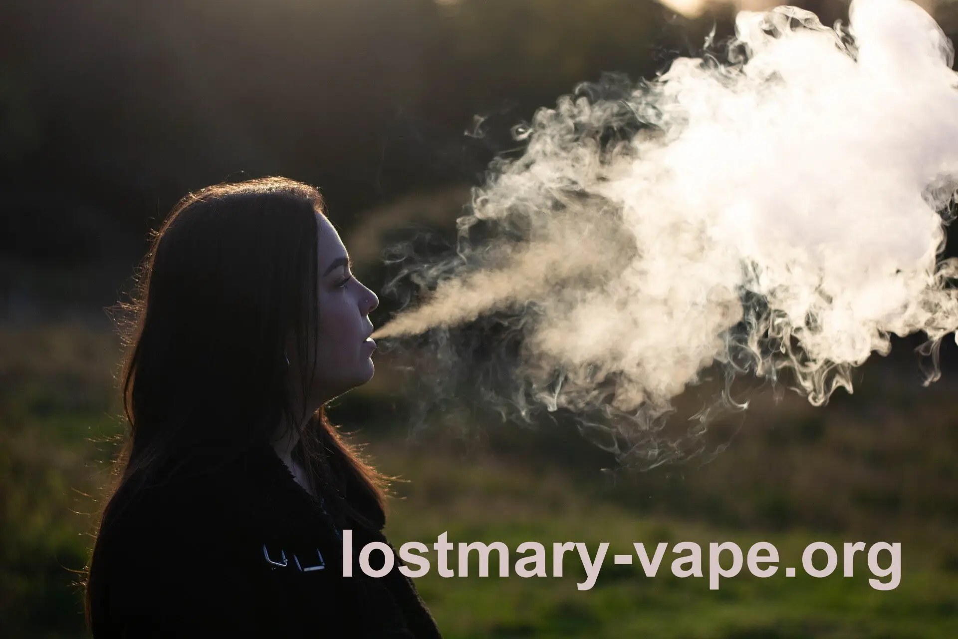 Vaping Going Global: Powering the Global Economy 5 a1355237ce25a00d6a35a303f54cb3d6