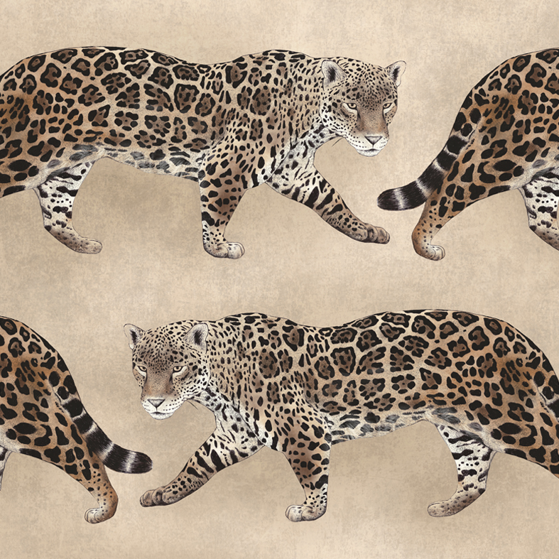 Caramel Pantheress Wallpaper