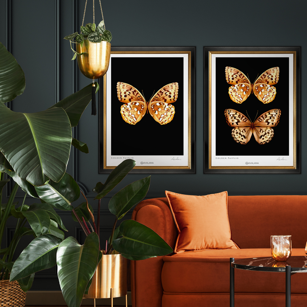 Gold Papilio Duo Art Print