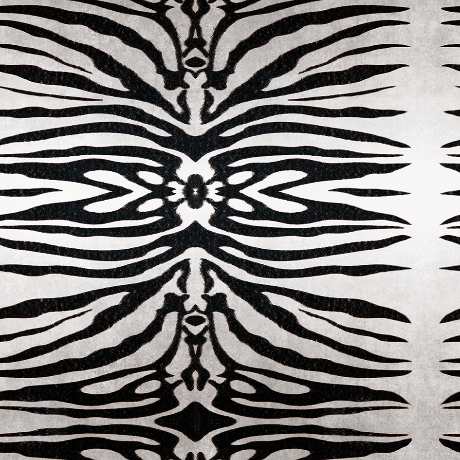 Bold Zebra Wallpaper