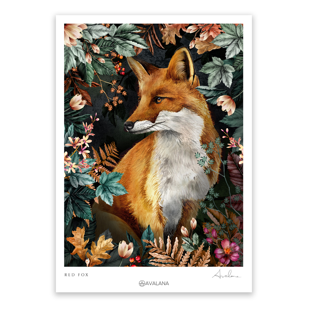 Red Fox Art Print