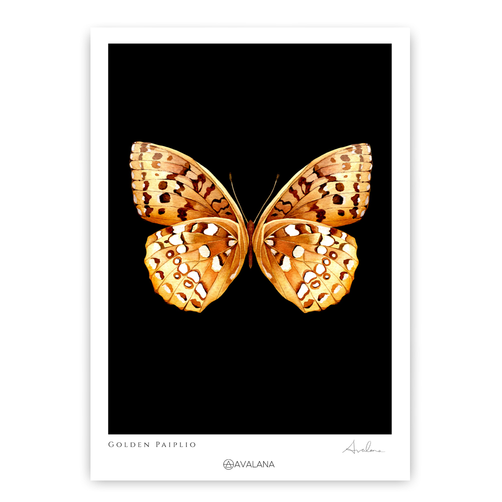 Golden Papilio Art Print