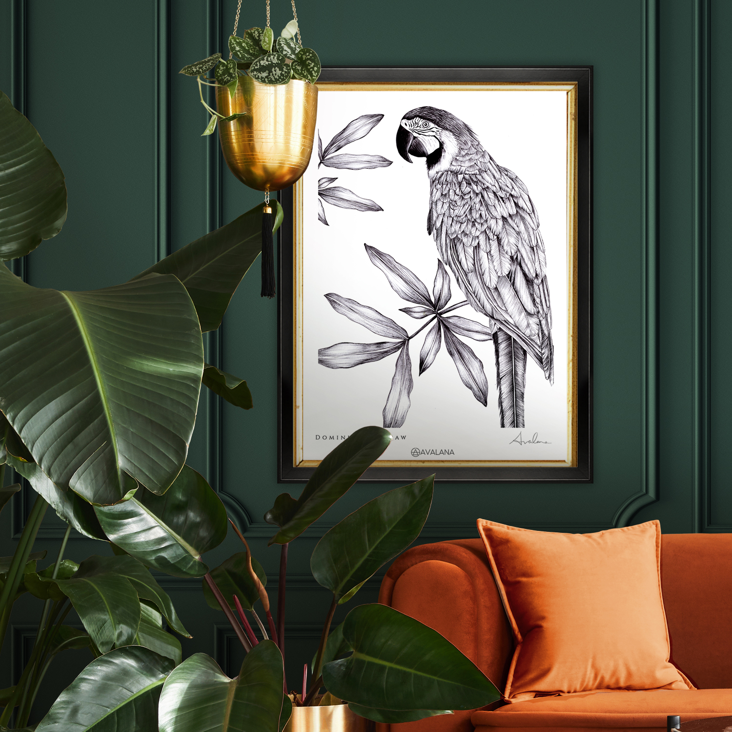 Dominican Macaw Art Print