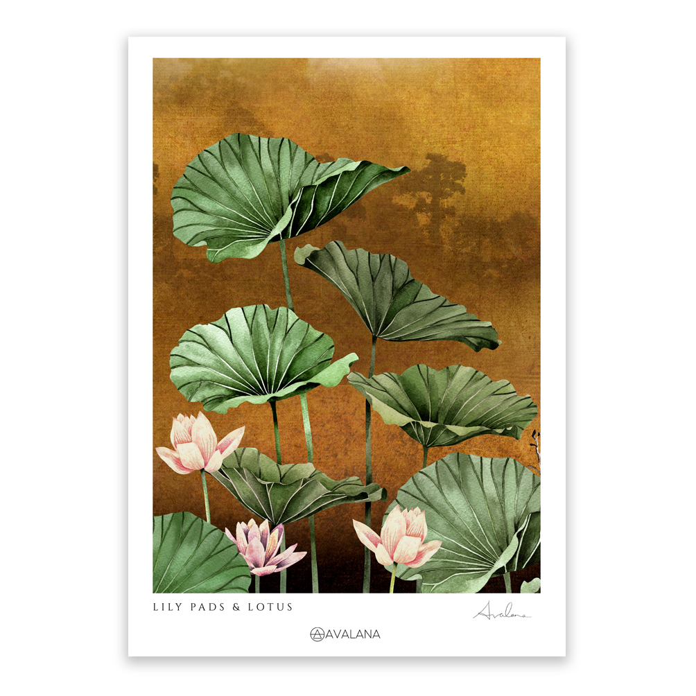 Lily Pads Art Print