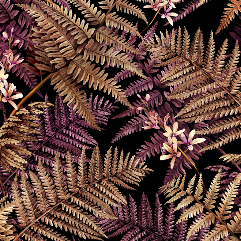 Bridgewater Fern Autumn Wallpaper
