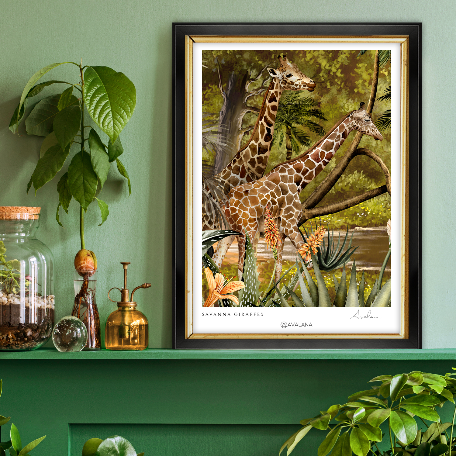 Savanna Giraffes Art Print