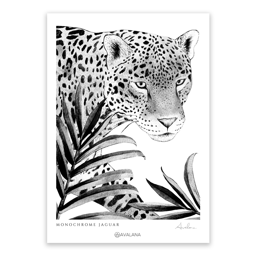 Monochrome Jaguar Art Print