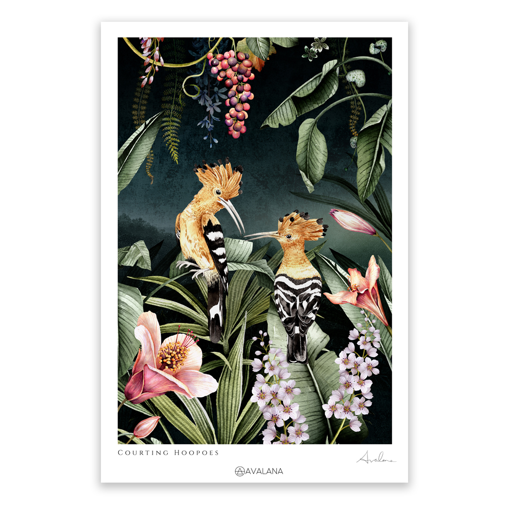 Hoopoe Art Print