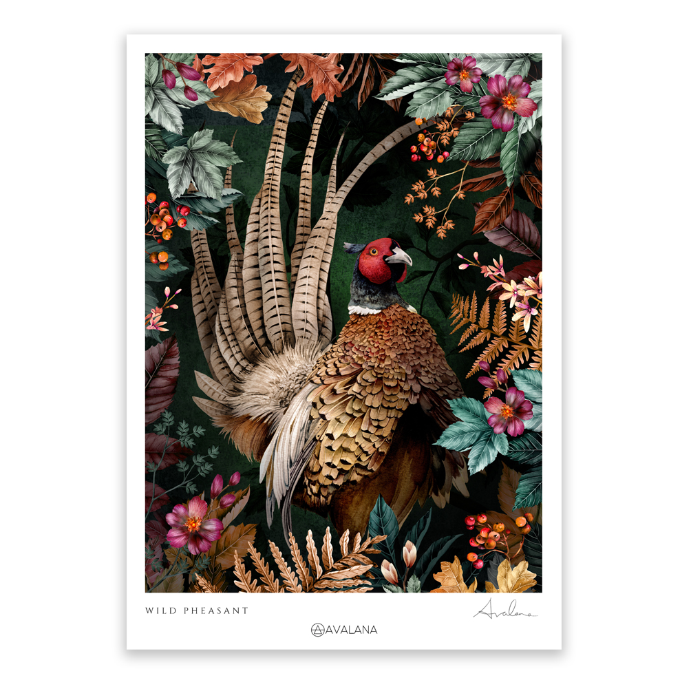 Wild Pheasant Art Print