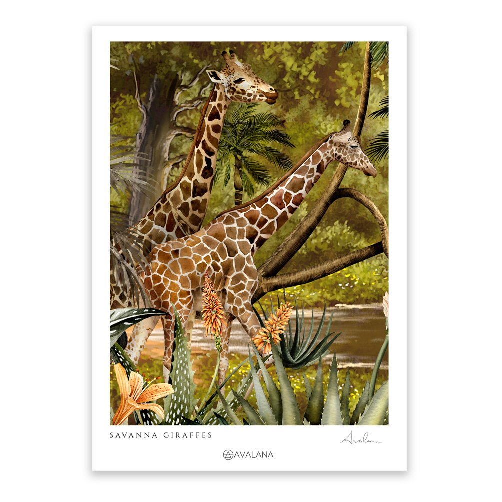 Savanna Giraffes Art Print