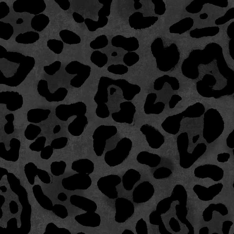 Jaguar Spot Noir Wallpaper