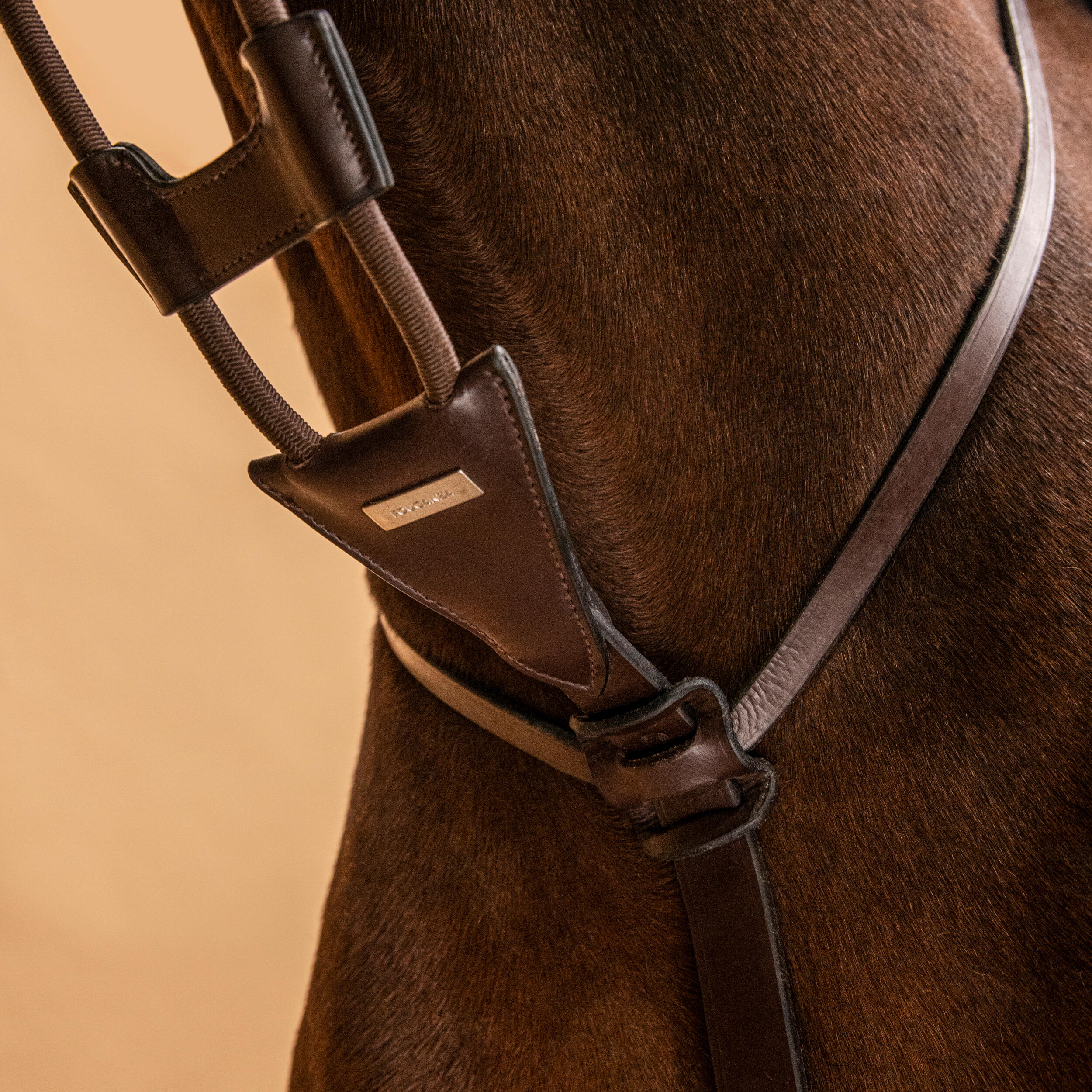 Elasticated Martingale for Horse & Pony - Dark Brown