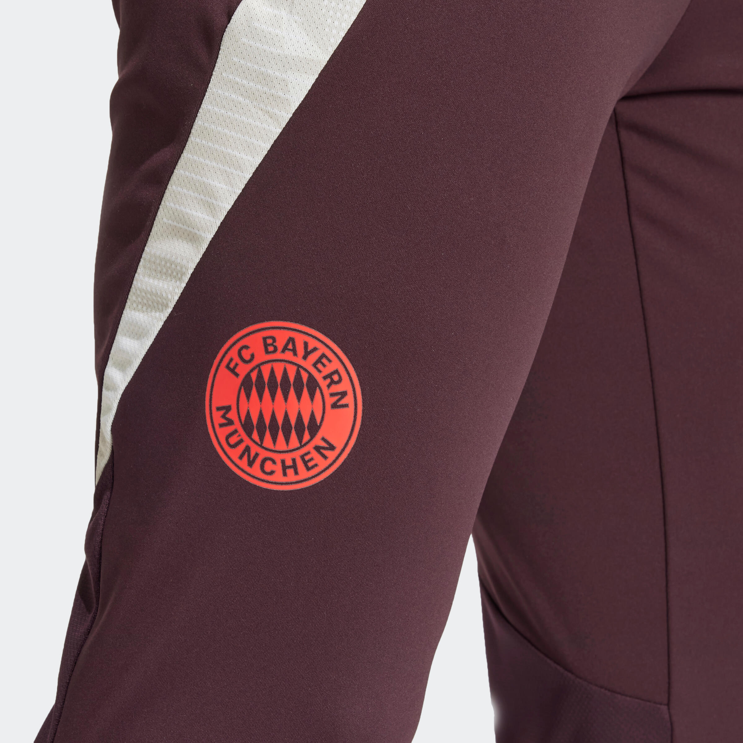 Adult Training Bottoms FC Bayern 24/25