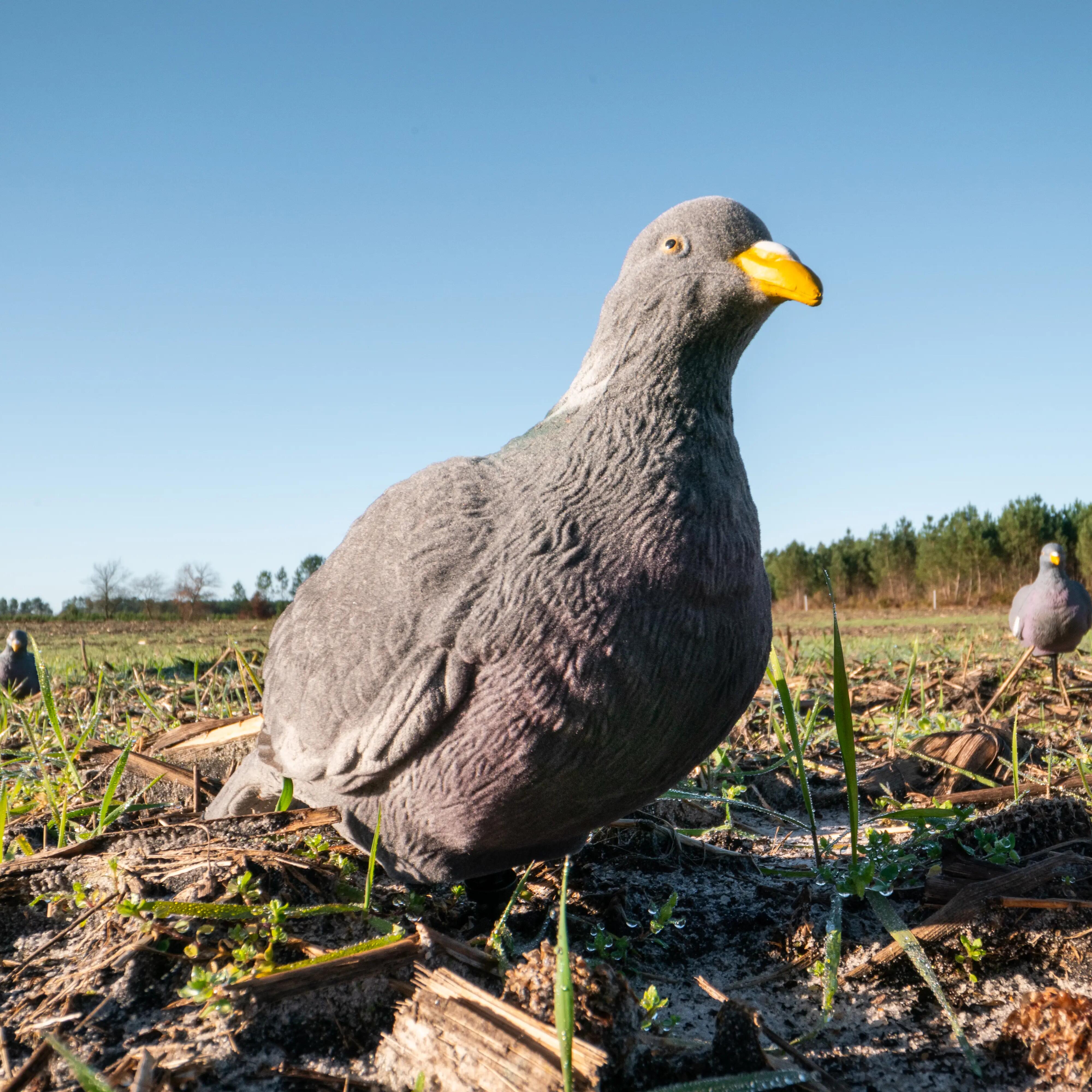 900 3D VELVET GAME BIRD DECOY