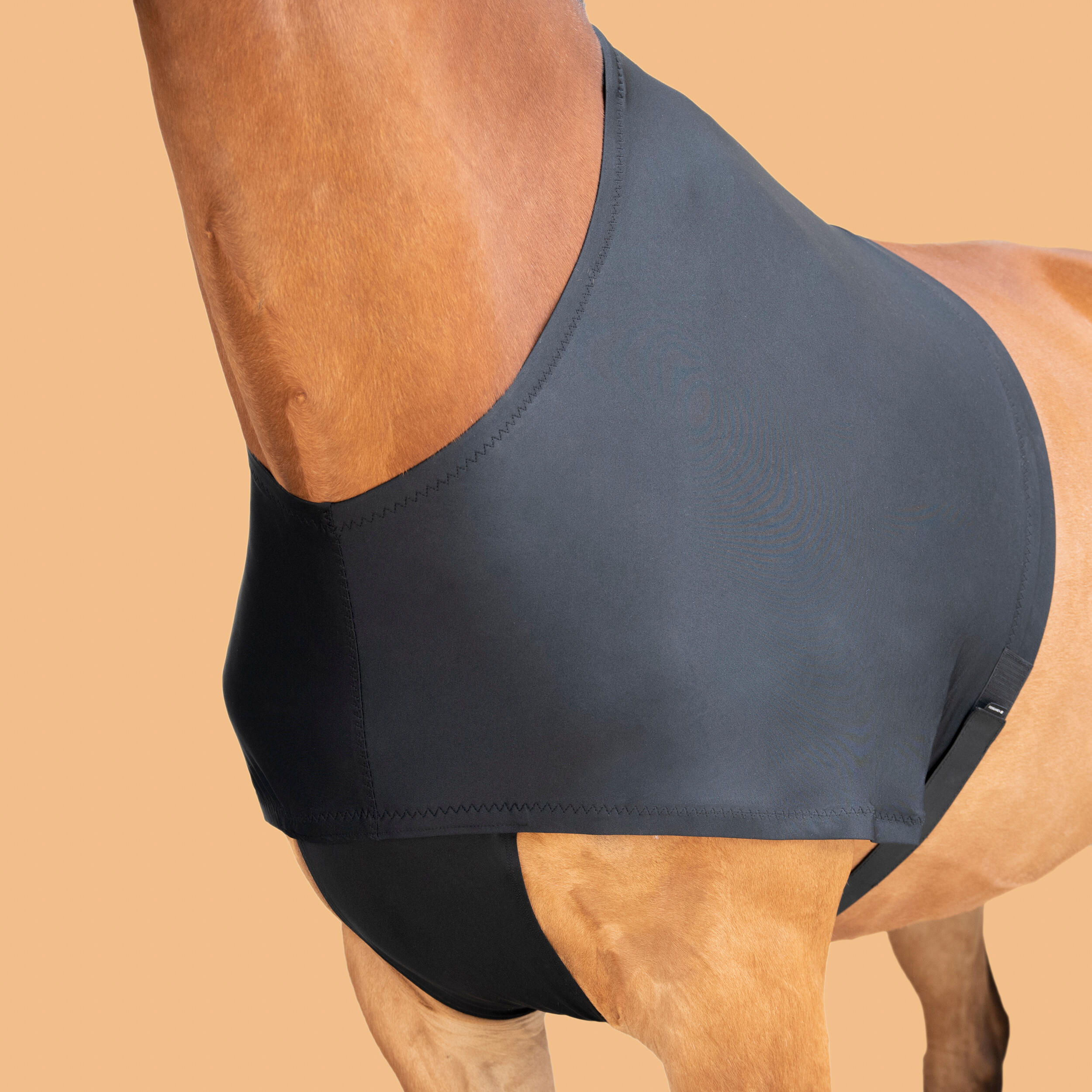 Horse Riding Shoulder Guard for Horse & Pony - Black