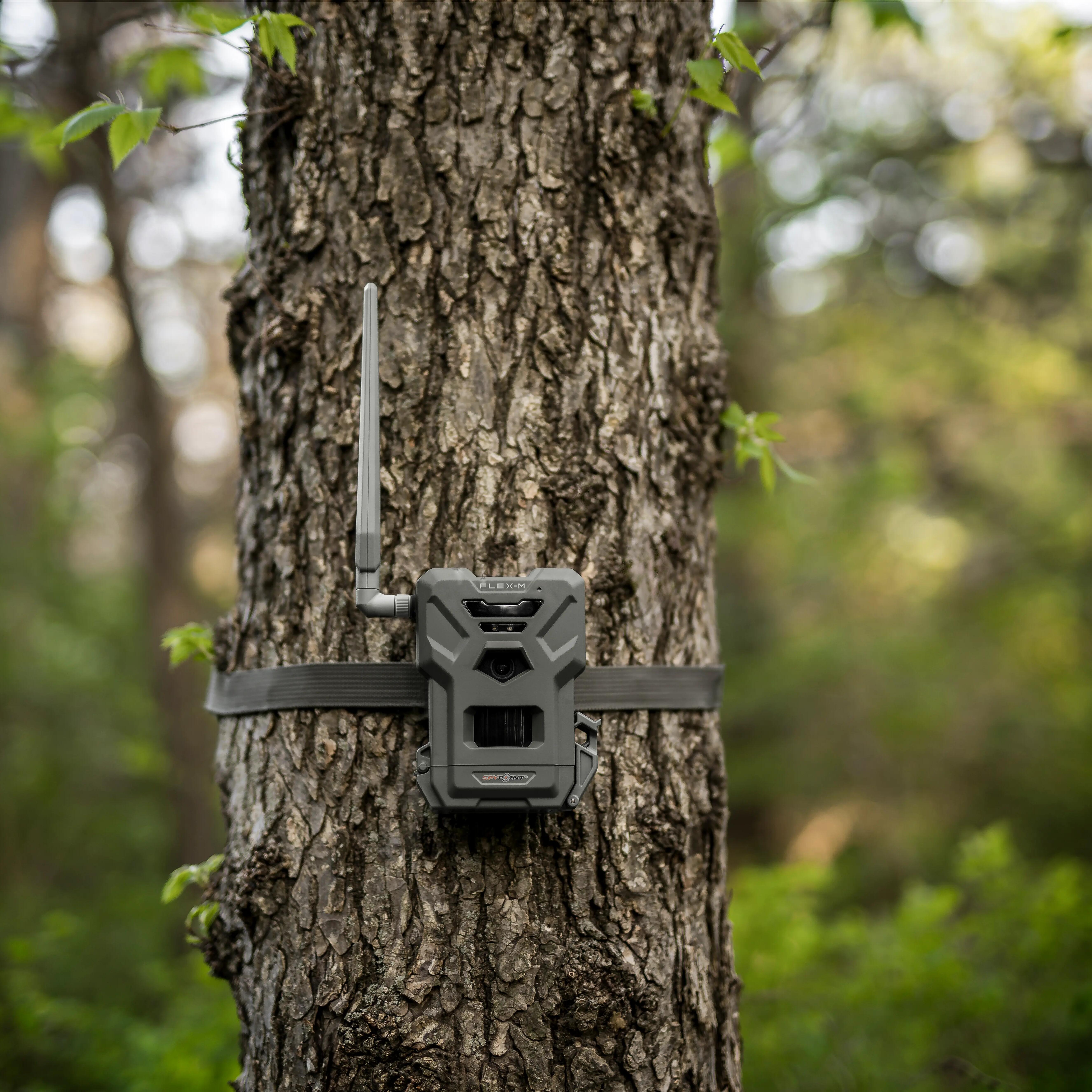 SPYPOINTFLEX-M CELLULAR TRAIL CAMERA