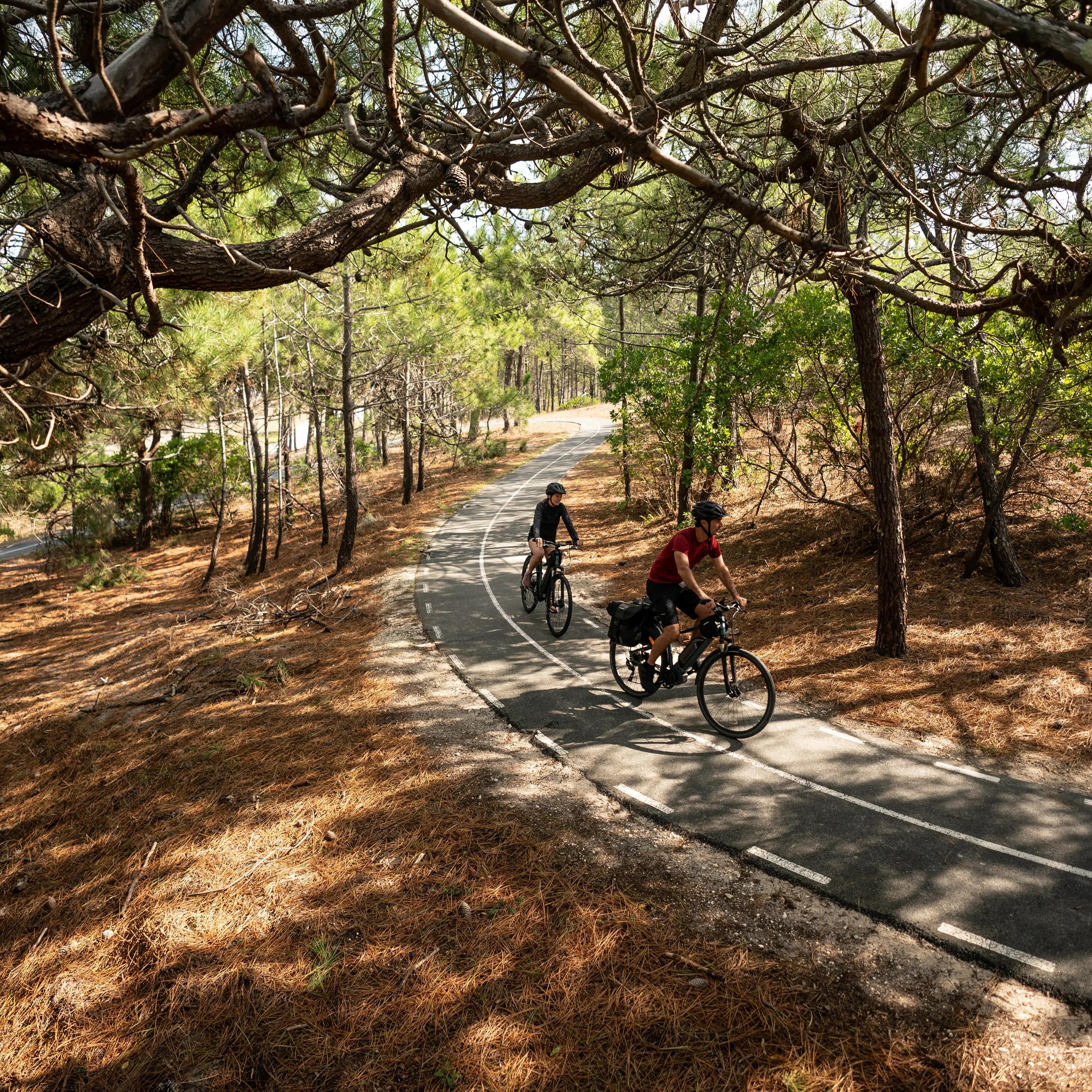 Shimano 60 Nm motor  long-distance electric hybrid bike  blue